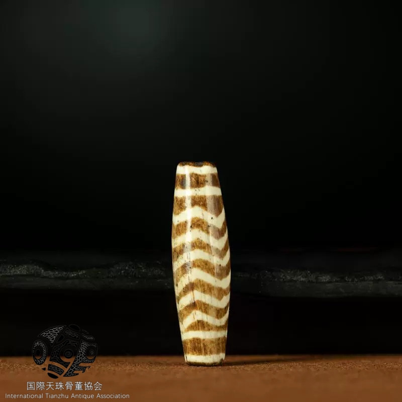 チベット▪ミレニアム・パンテック木の化石水紋珠天珠